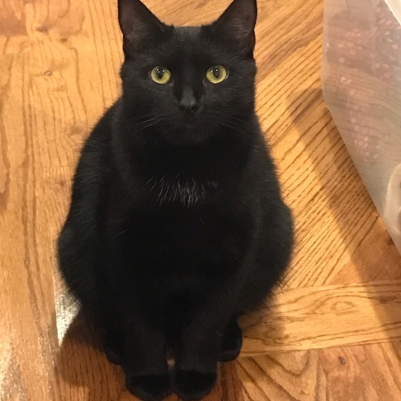 Meet your Posher, Chris - Picture 16 of 16